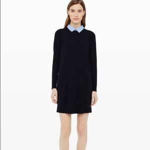 Club Monaco Bethia Dress